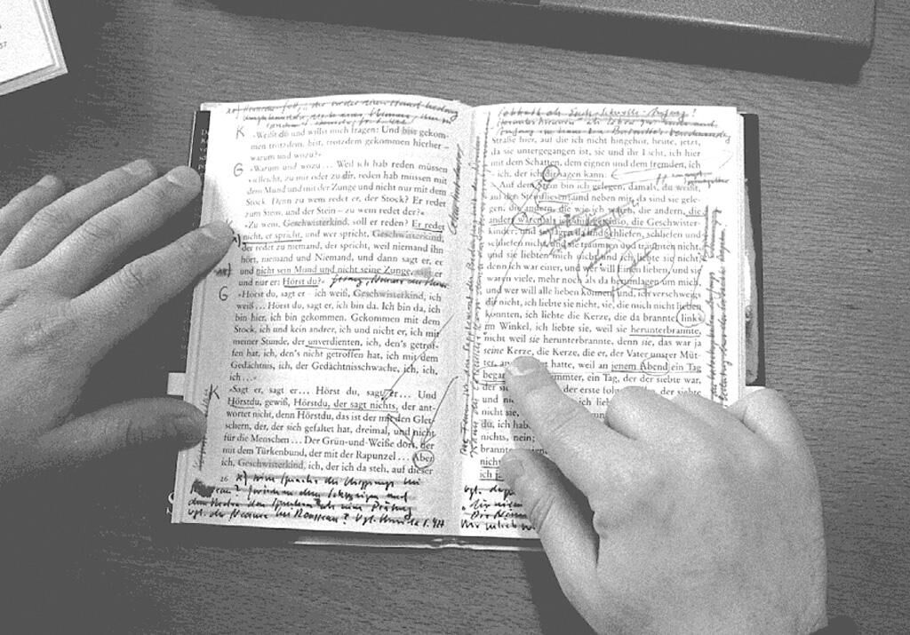 Titelbild des Projekts Paul Celans ""Gespräch im Gebirg""