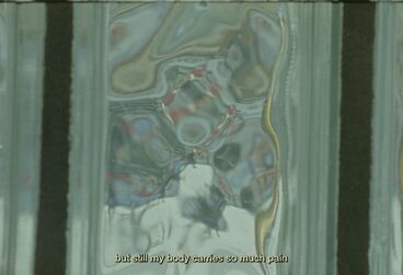 Galeriebild des Projekts I carry them in me