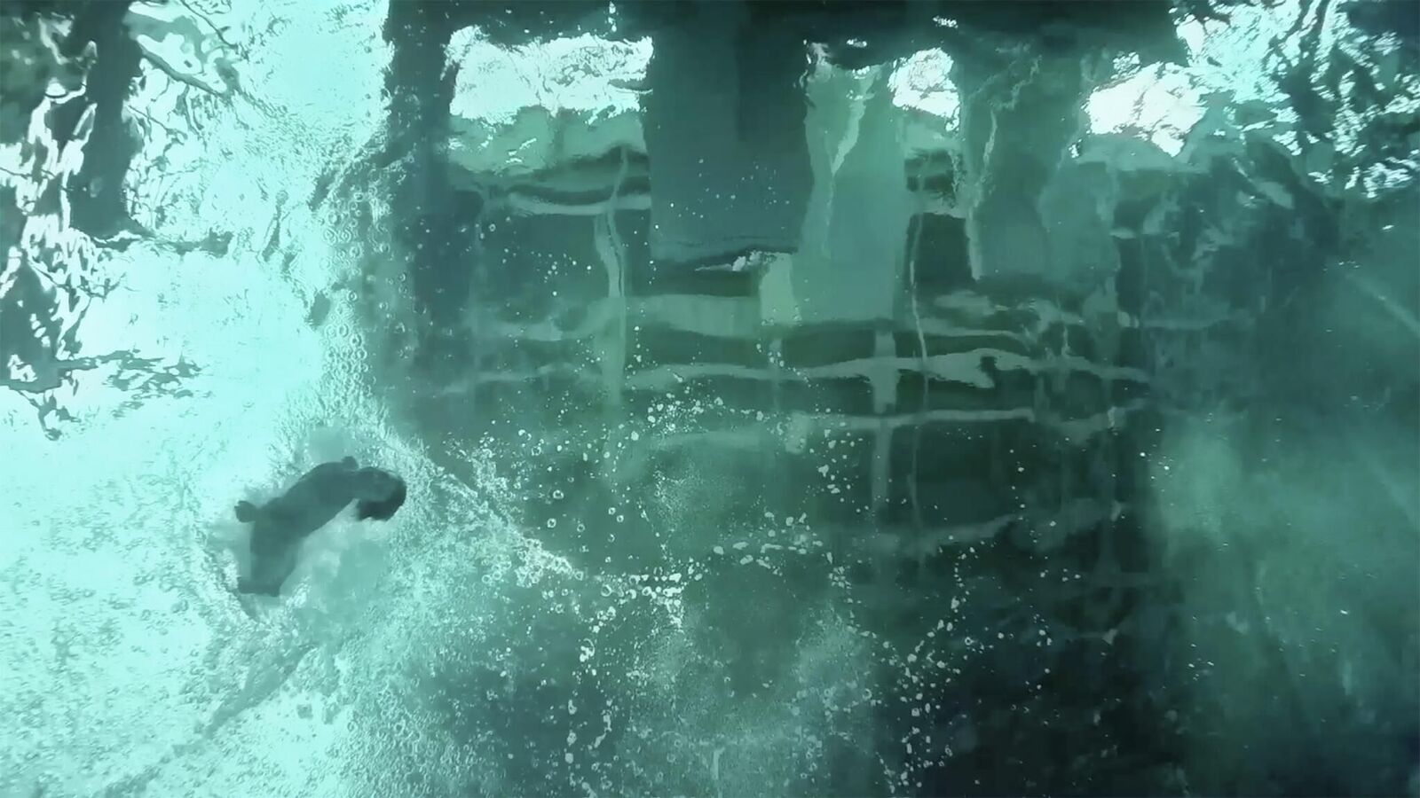 Galeriebild des Projekts Do we really know what is behind it 