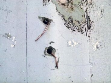 The haunted villa of Spetses Galeriebild des Projekts The haunted villa of Spetses