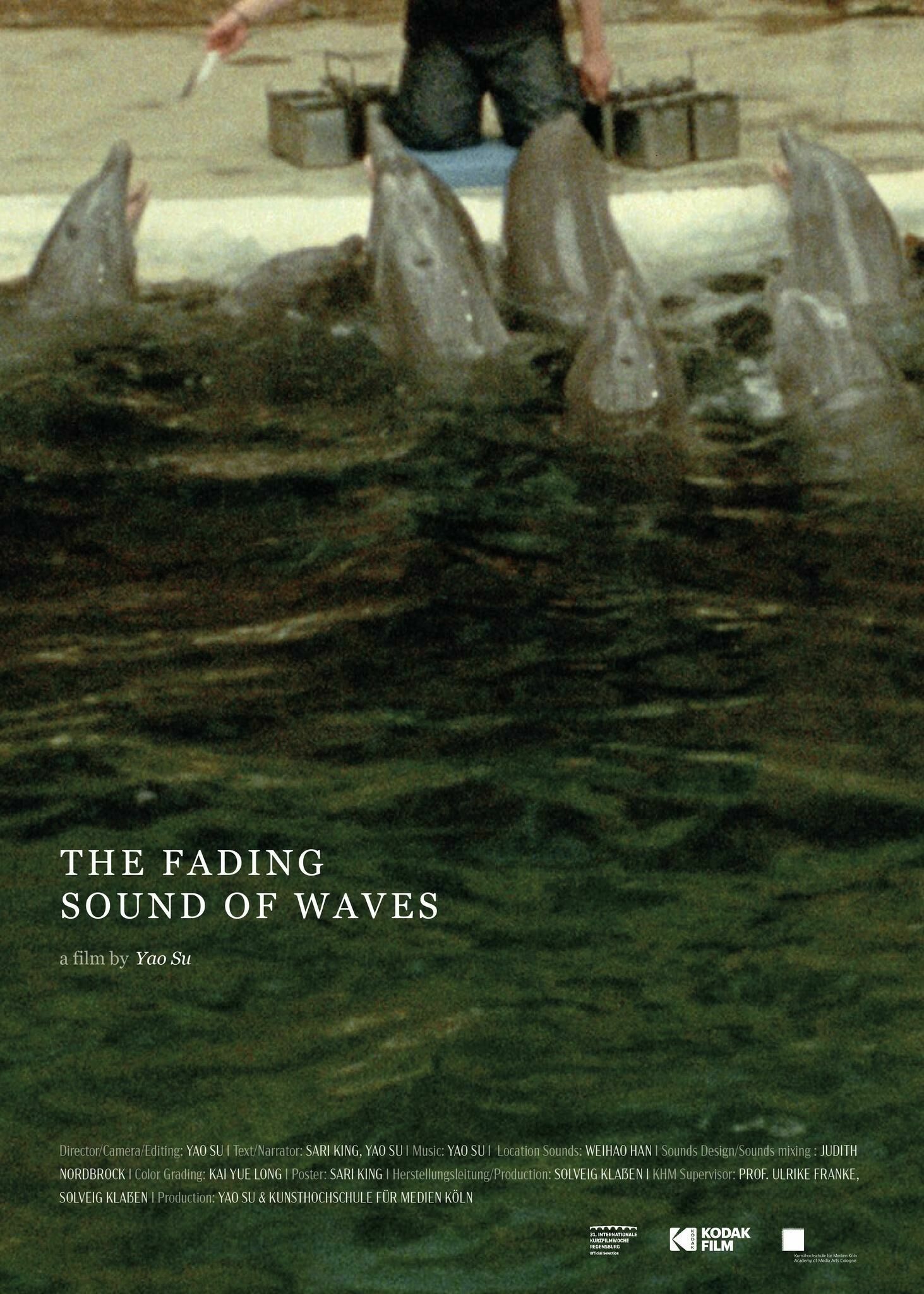 Titelbild des Projekts The Fading Sound of Waves