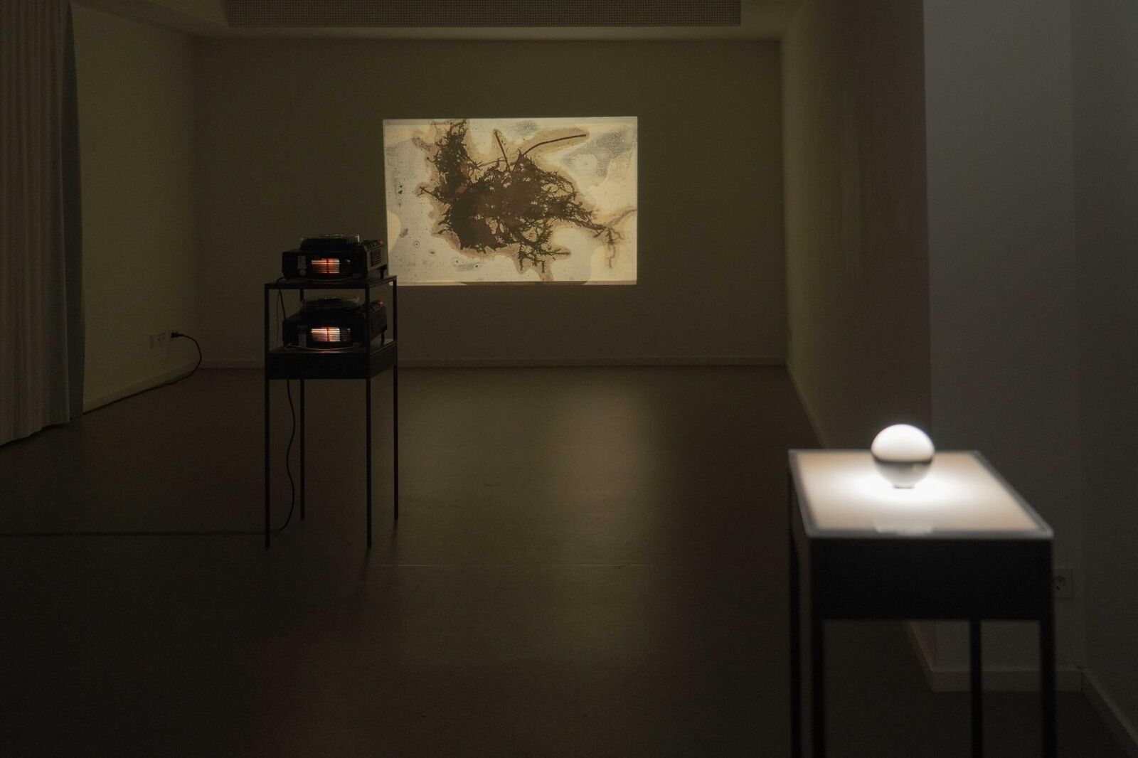 Galeriebild des Projekts Swamp optical trance