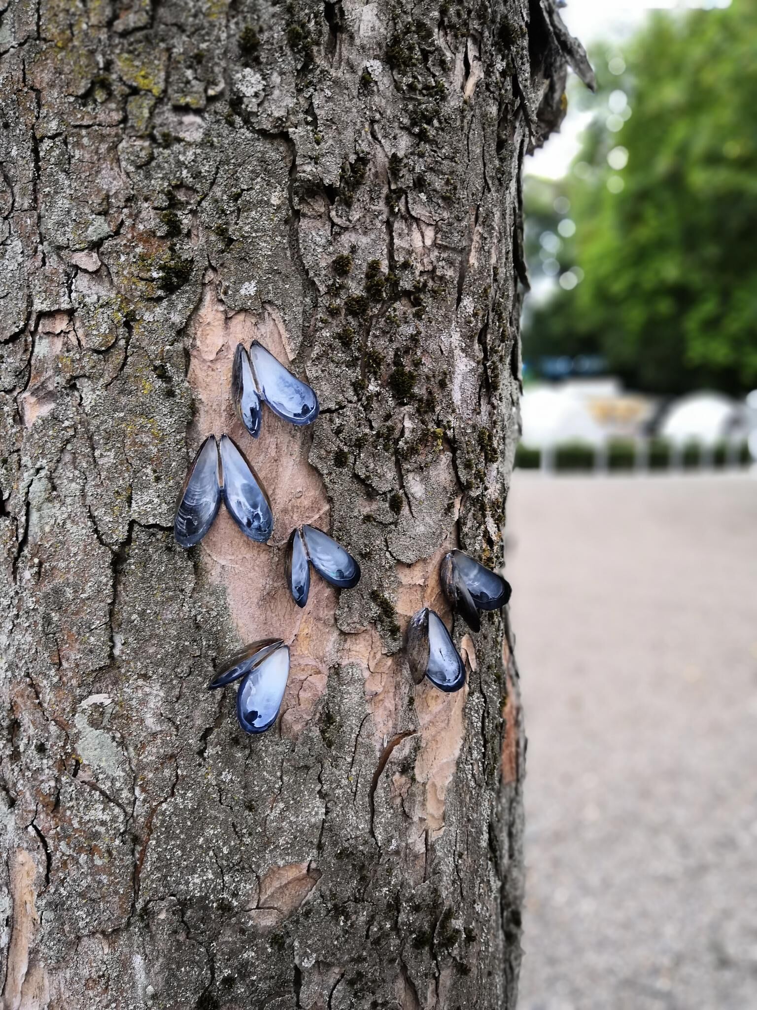 Galeriebild des Projekts I pretend that I belong here