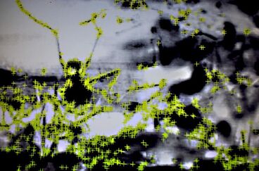 0h!m1gas Titelbild des Projekts 0h!m1gas