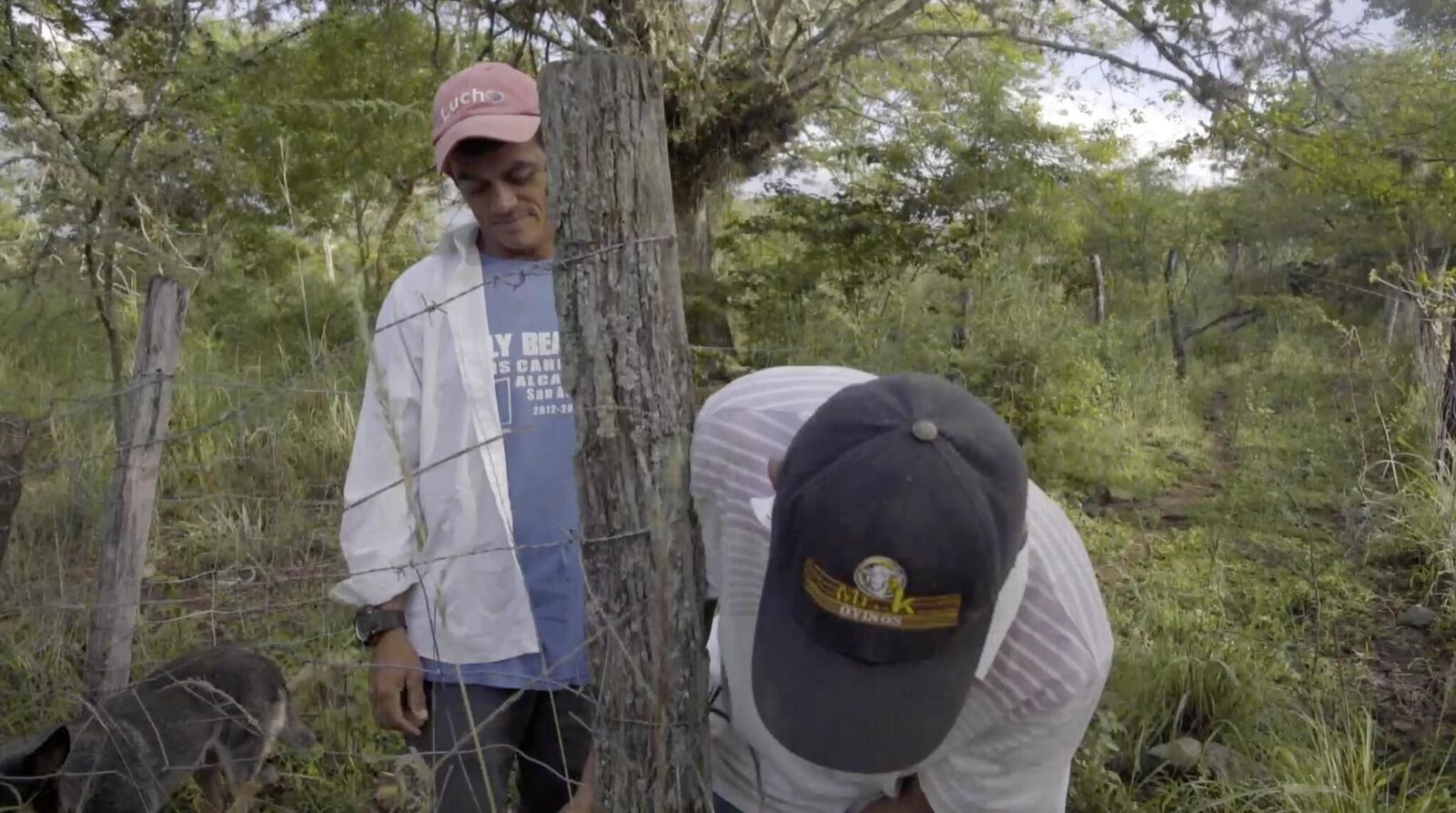 Galeriebild des Projekts Draußen leben