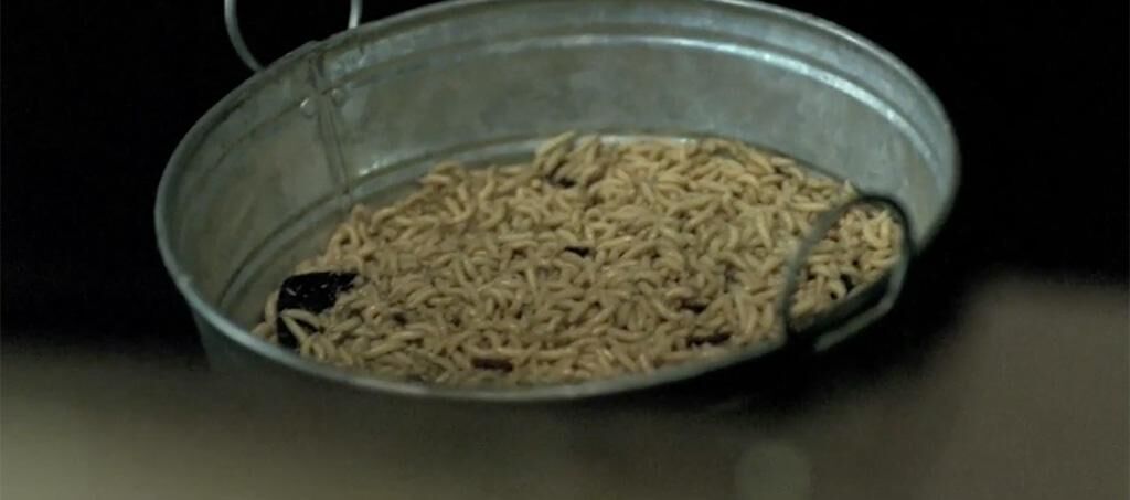 Galeriebild des Projekts Die Kneipe