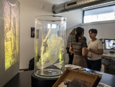 Ausstellung im Multispecies Studio