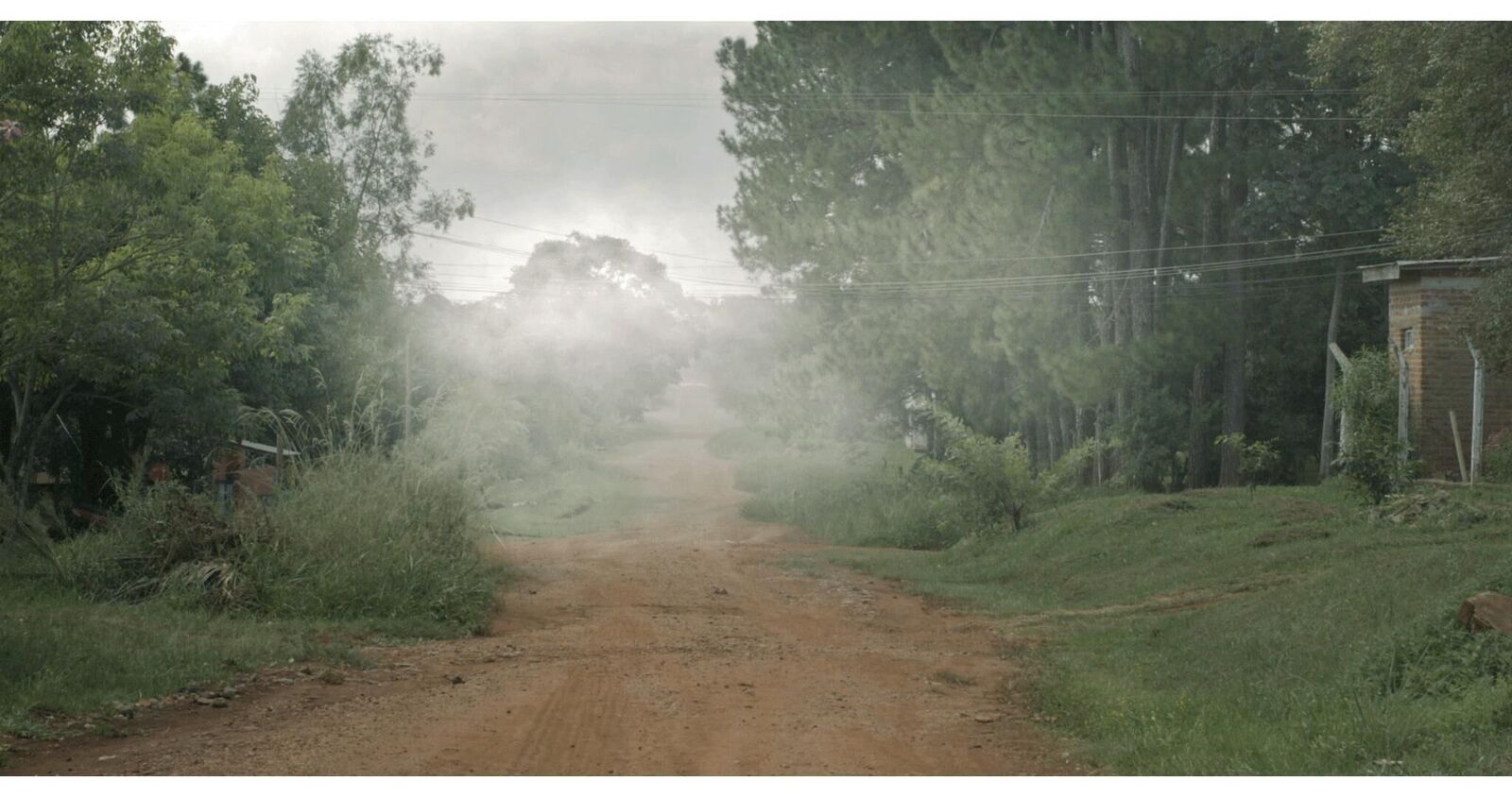 Galeriebild des Projekts Im Nebel