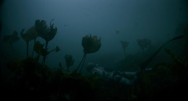 Galeriebild des Projekts Le Métèque