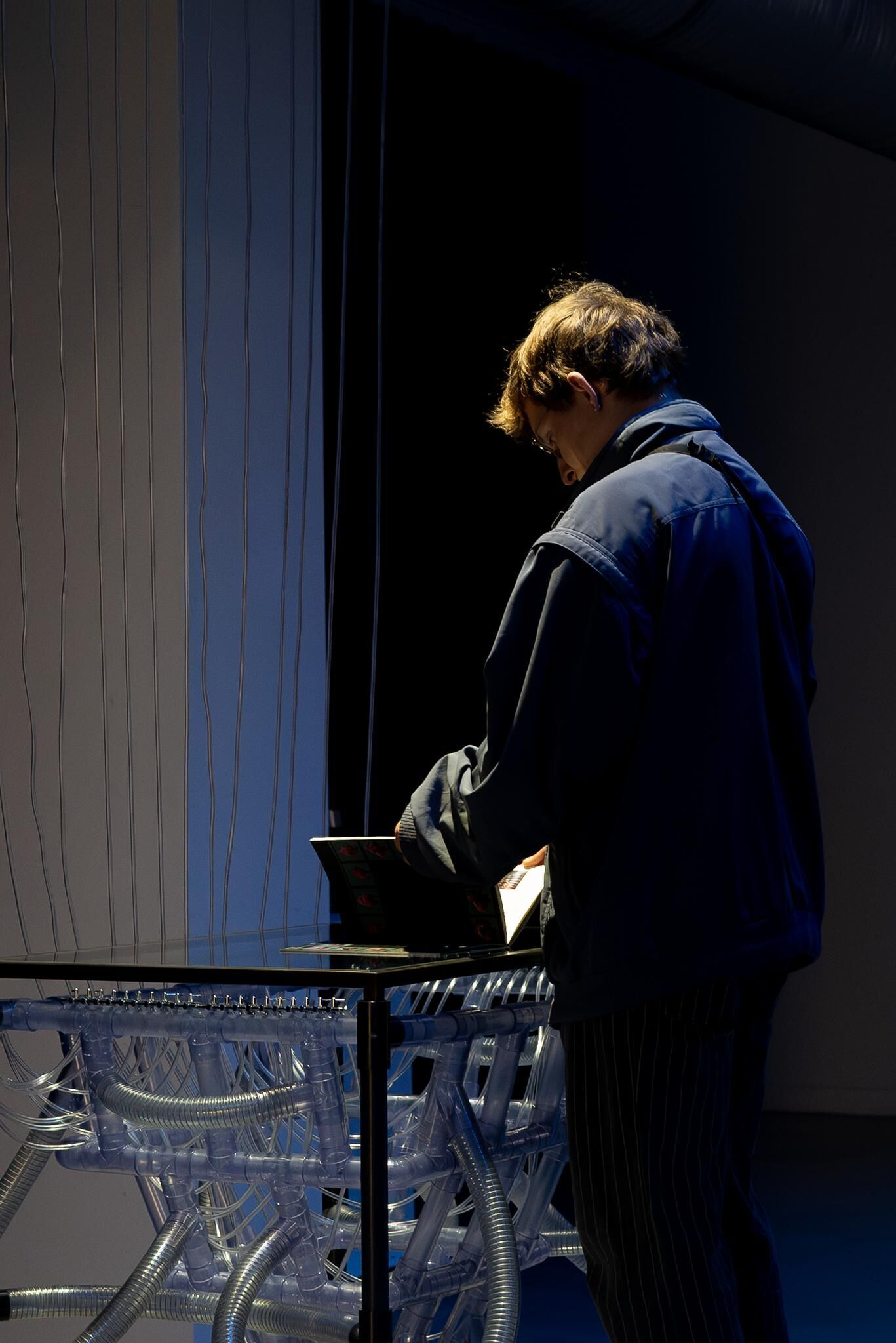 Galeriebild des Projekts Fixing the Rare : Breeder A