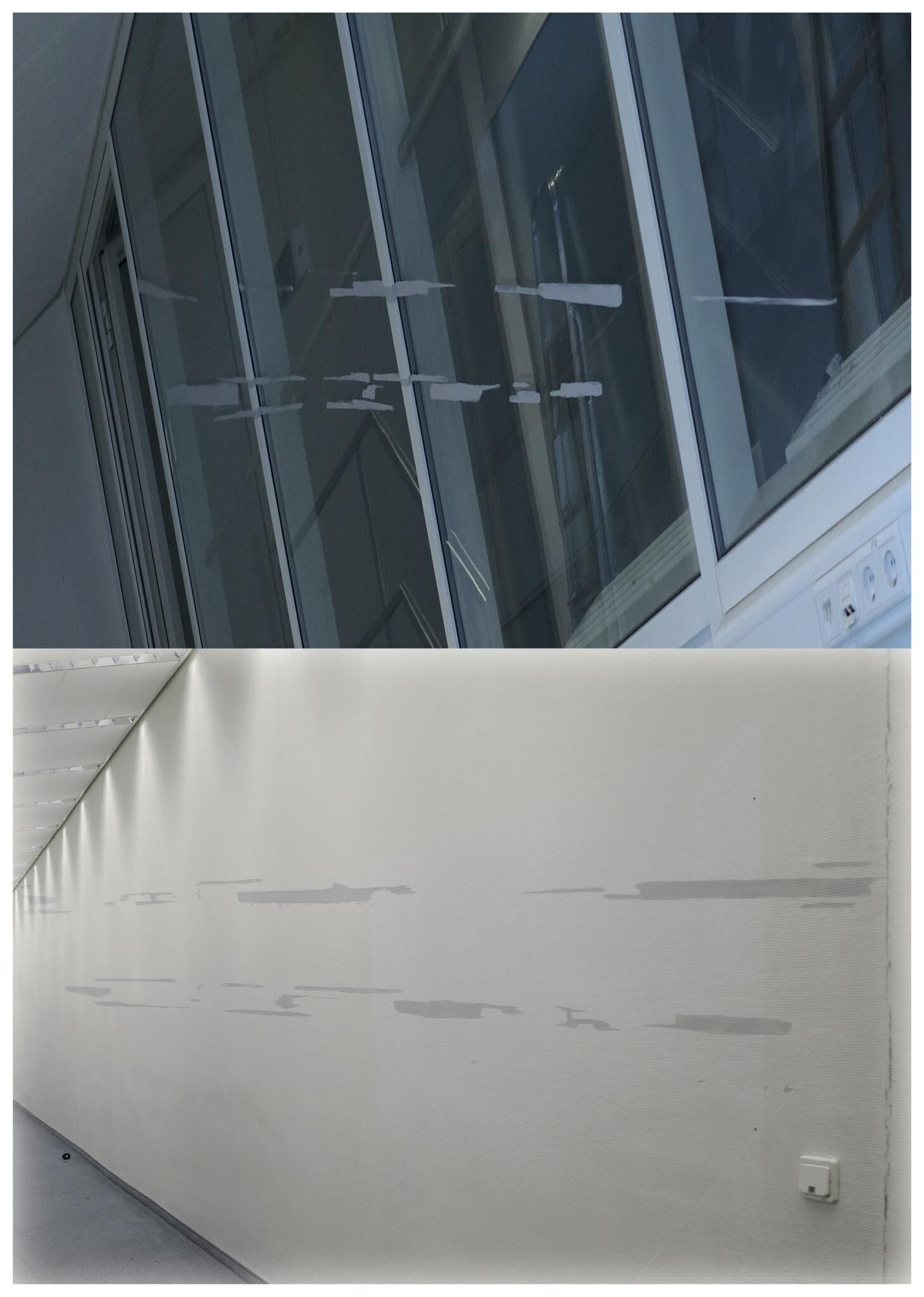 Galeriebild des Projekts FALSE SPRING