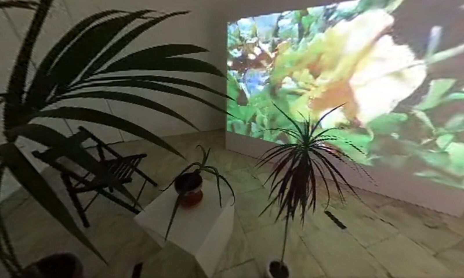 Galeriebild des Projekts Svan/Nectar