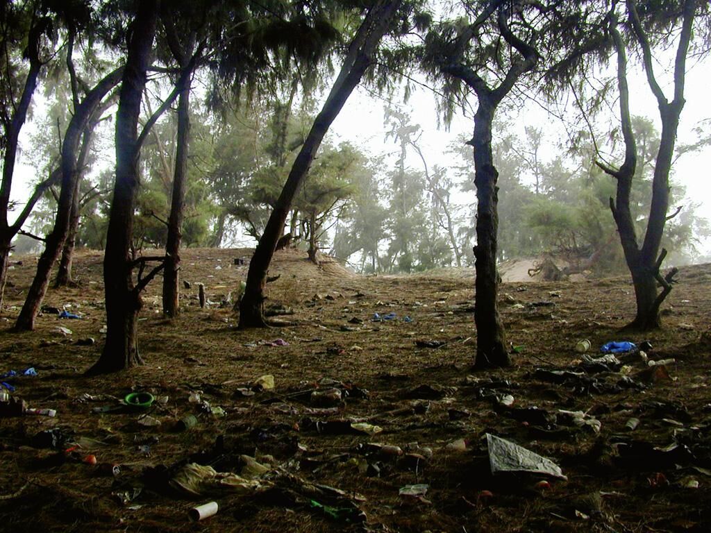 Titelbild des Projekts Trashworld