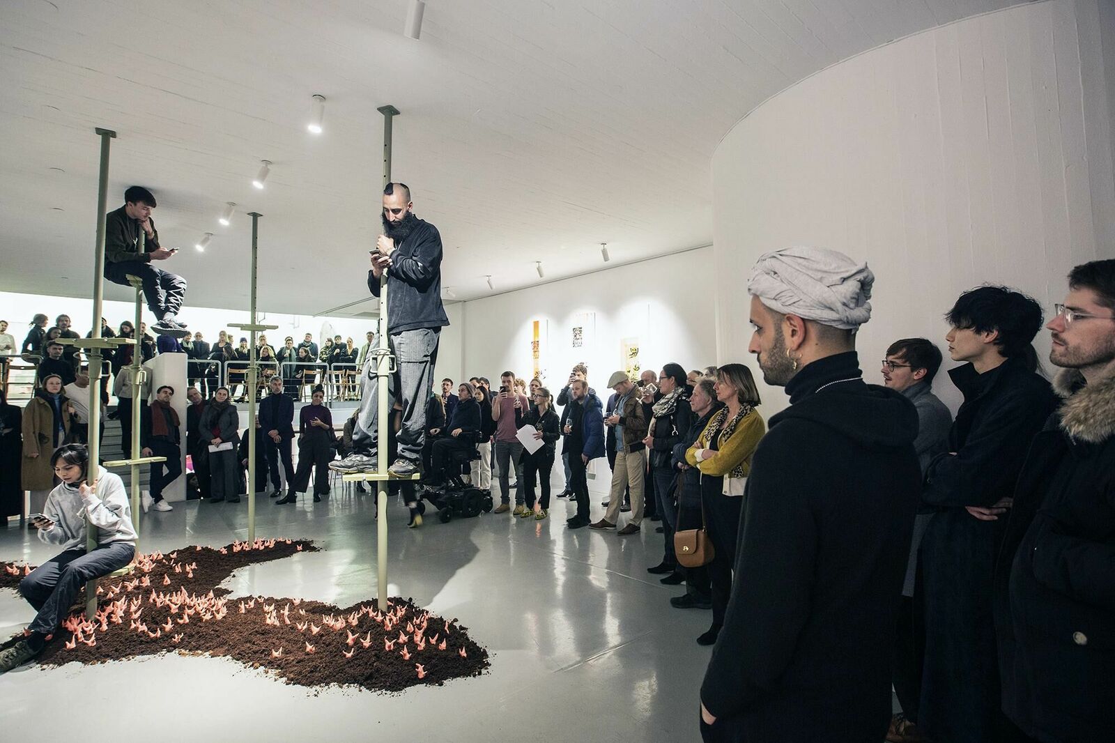 Galeriebild des Projekts Walter Palmer Shot A Lion: The Sequel