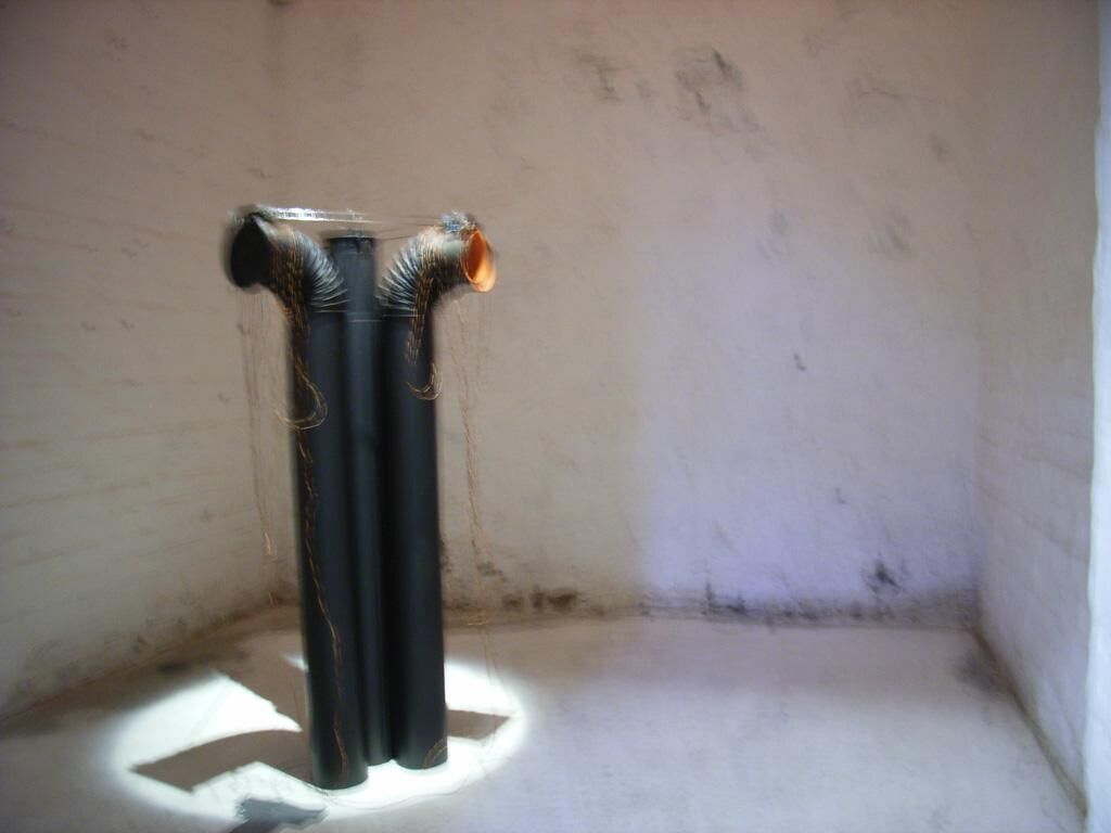 Galeriebild des Projekts Schmarotzer