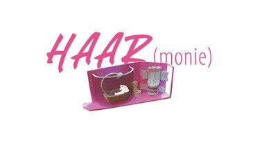 Titelbild des Projekts HAARmonie