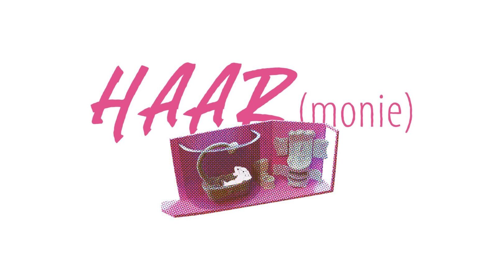 Titelbild des Projekts HAARmonie