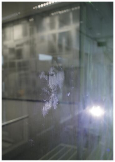 FALSE SPRING Galeriebild des Projekts FALSE SPRING