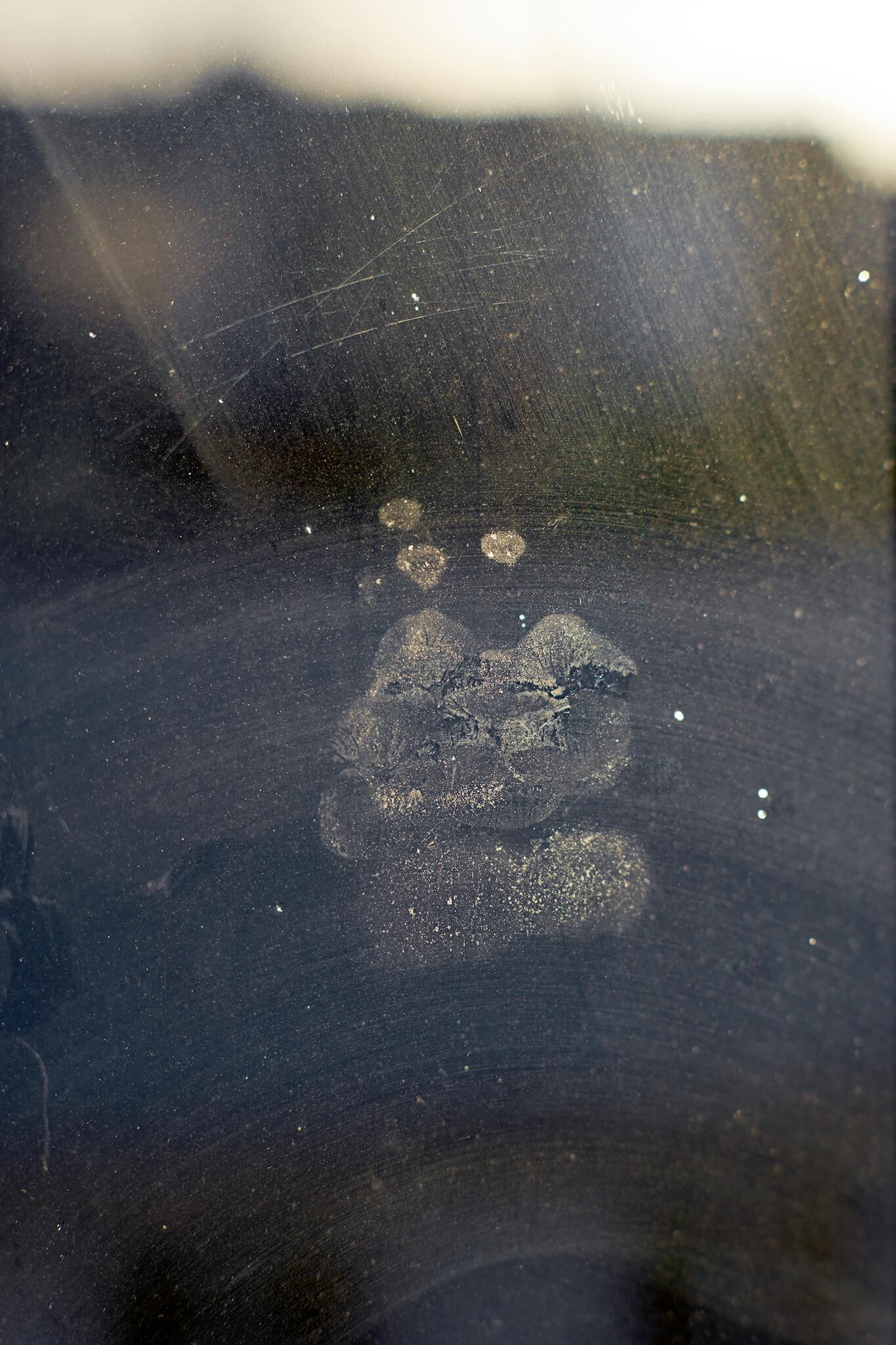 Galeriebild des Projekts Innenleben