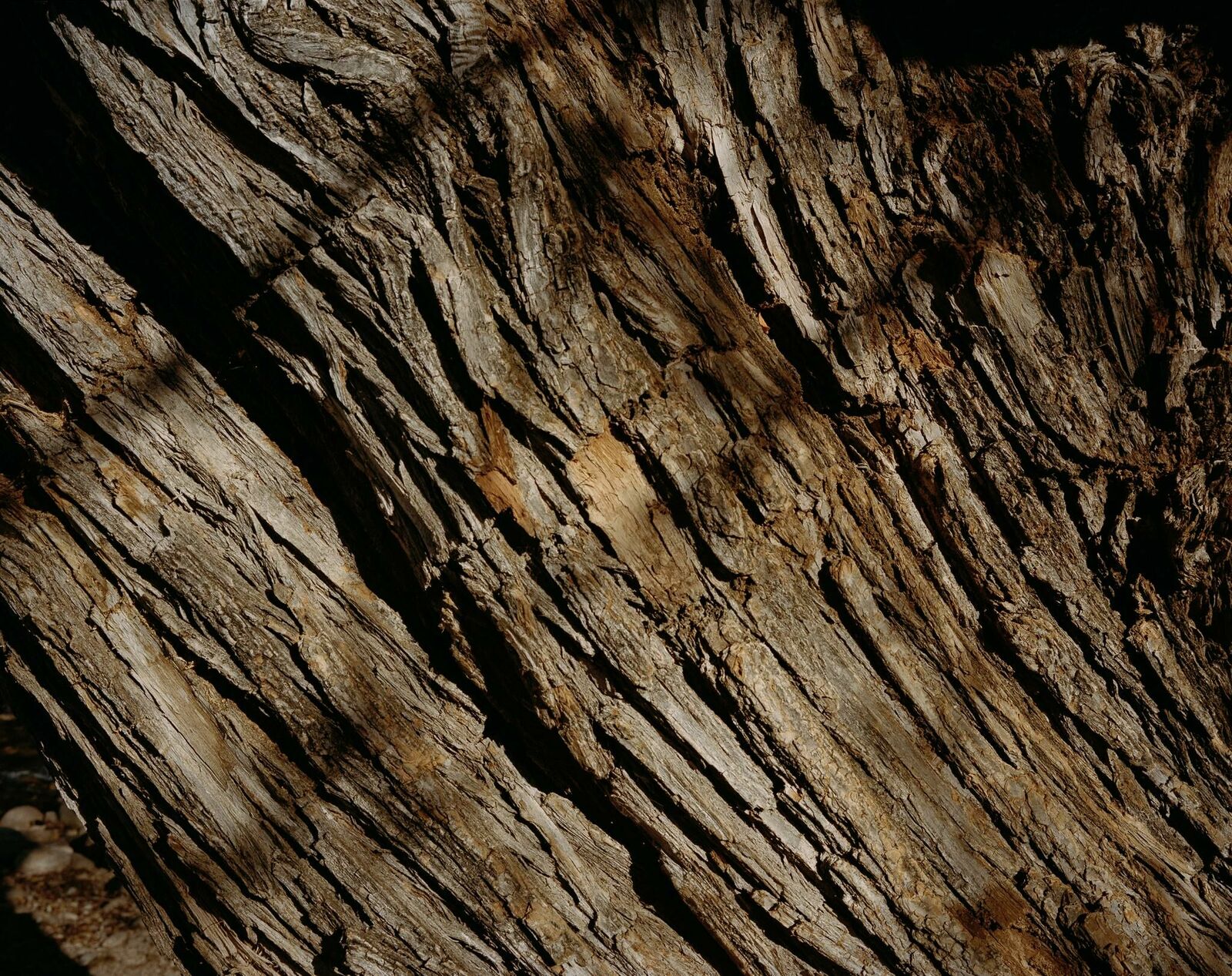 Titelbild des Projekts You don't look nothing alike