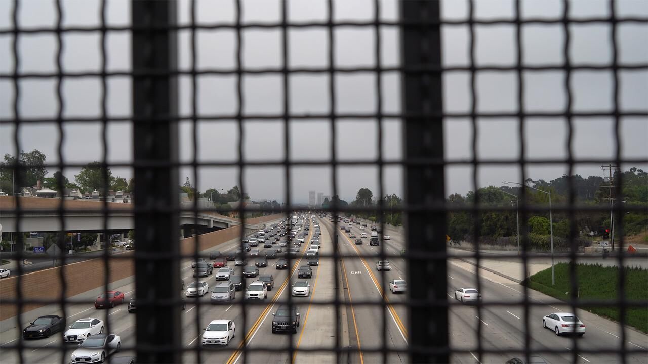 Galeriebild des Projekts The Afterthought of Life