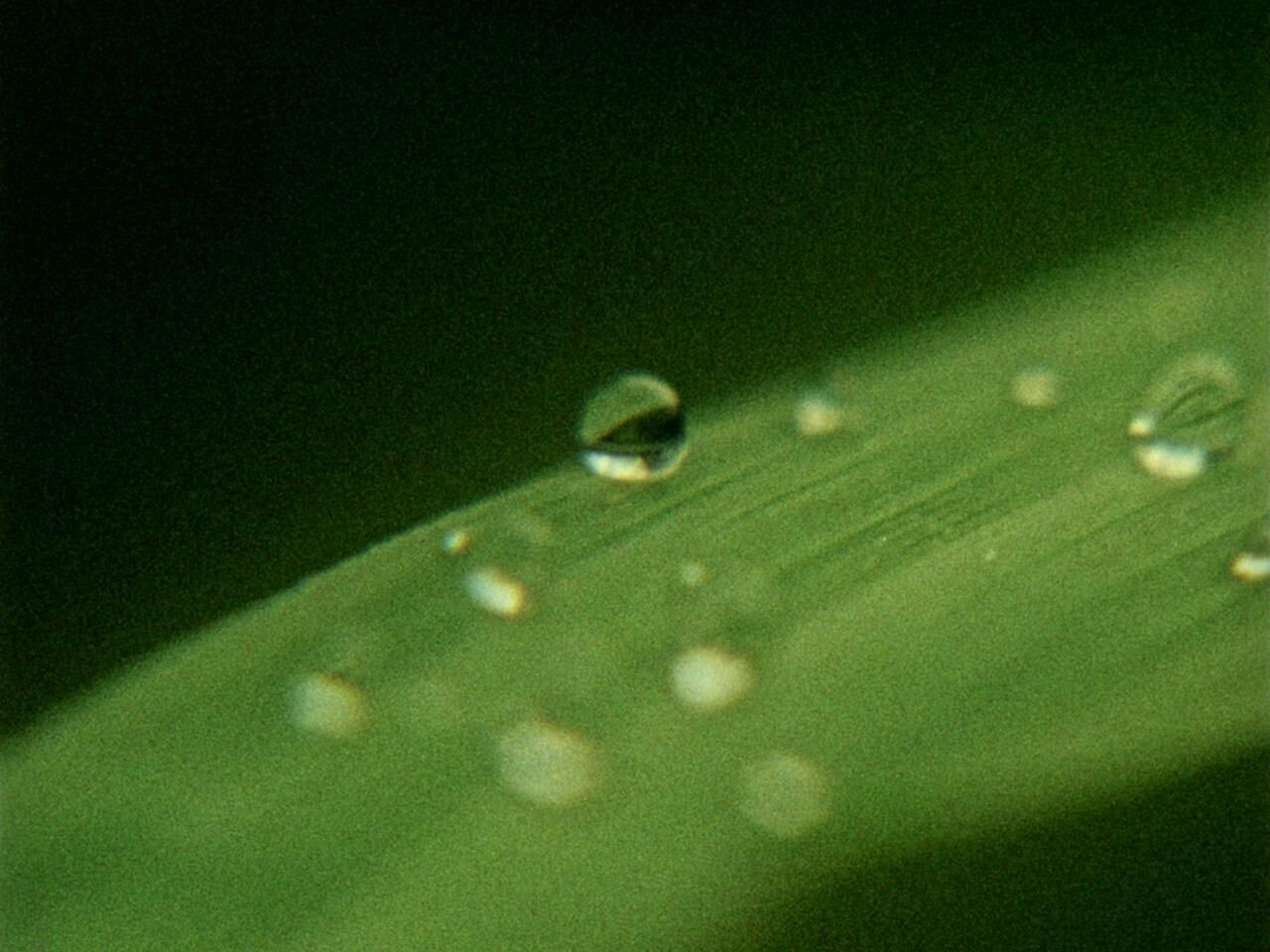 Galeriebild des Projekts Parientes del Valle Luminoso