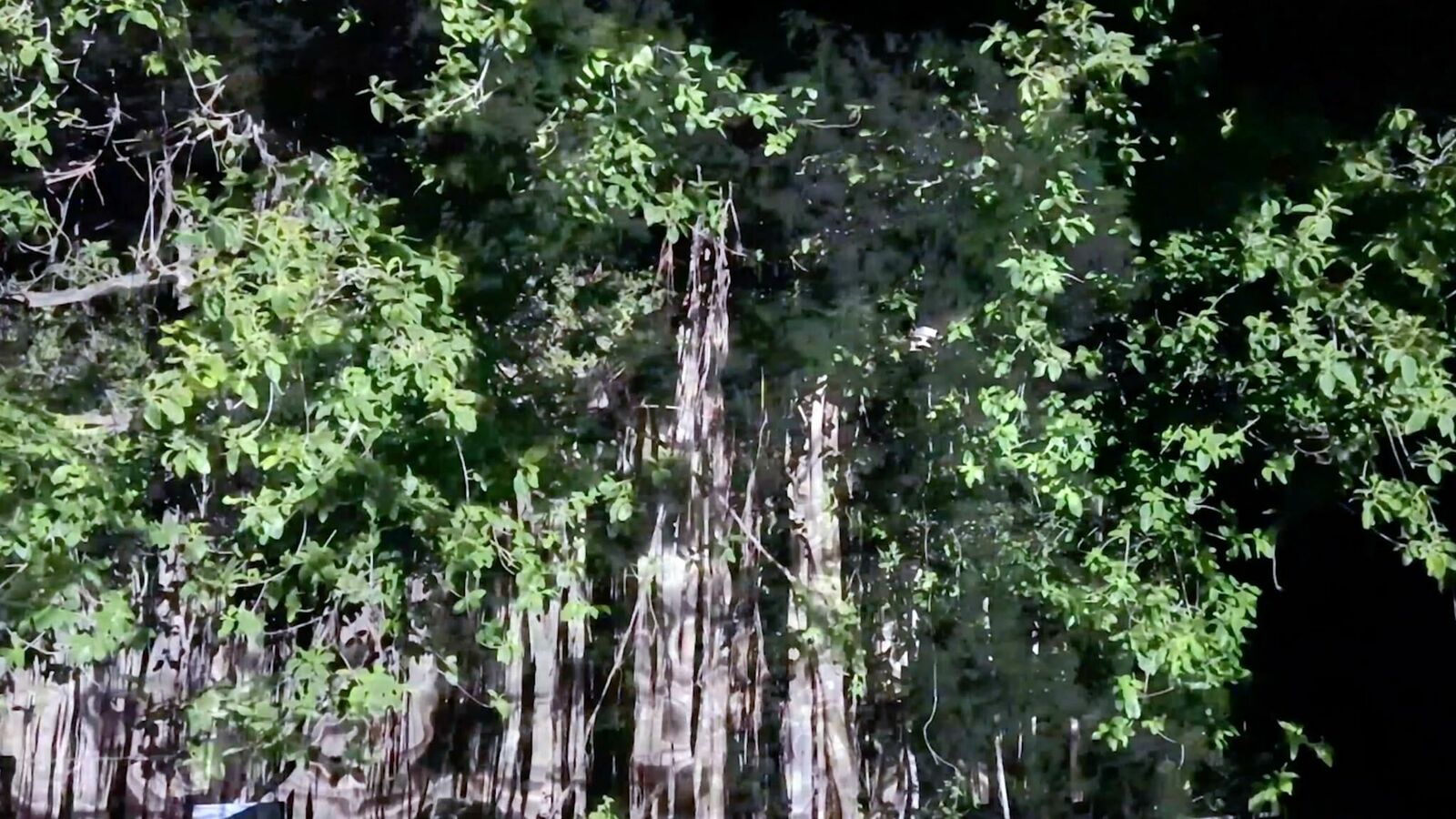 Titelbild des Projekts De Rerum Natura. A climate change