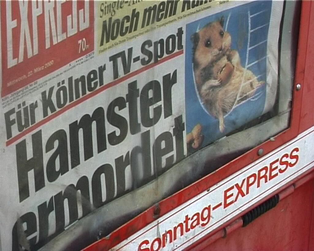 Titelbild des Projekts Pet Job Boy