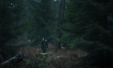 Galeriebild des Projekts M.