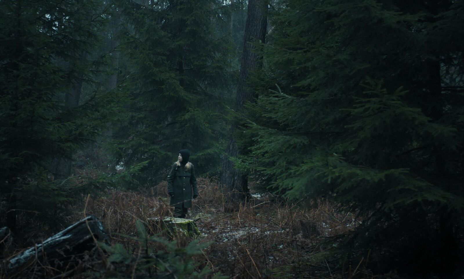 Galeriebild des Projekts M.