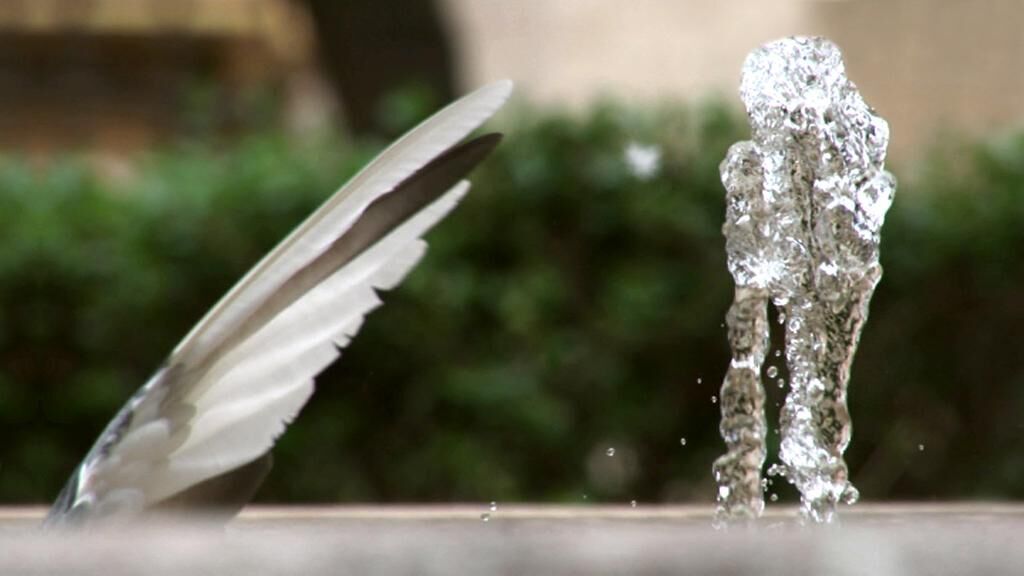 Titelbild des Projekts Palomafuente 