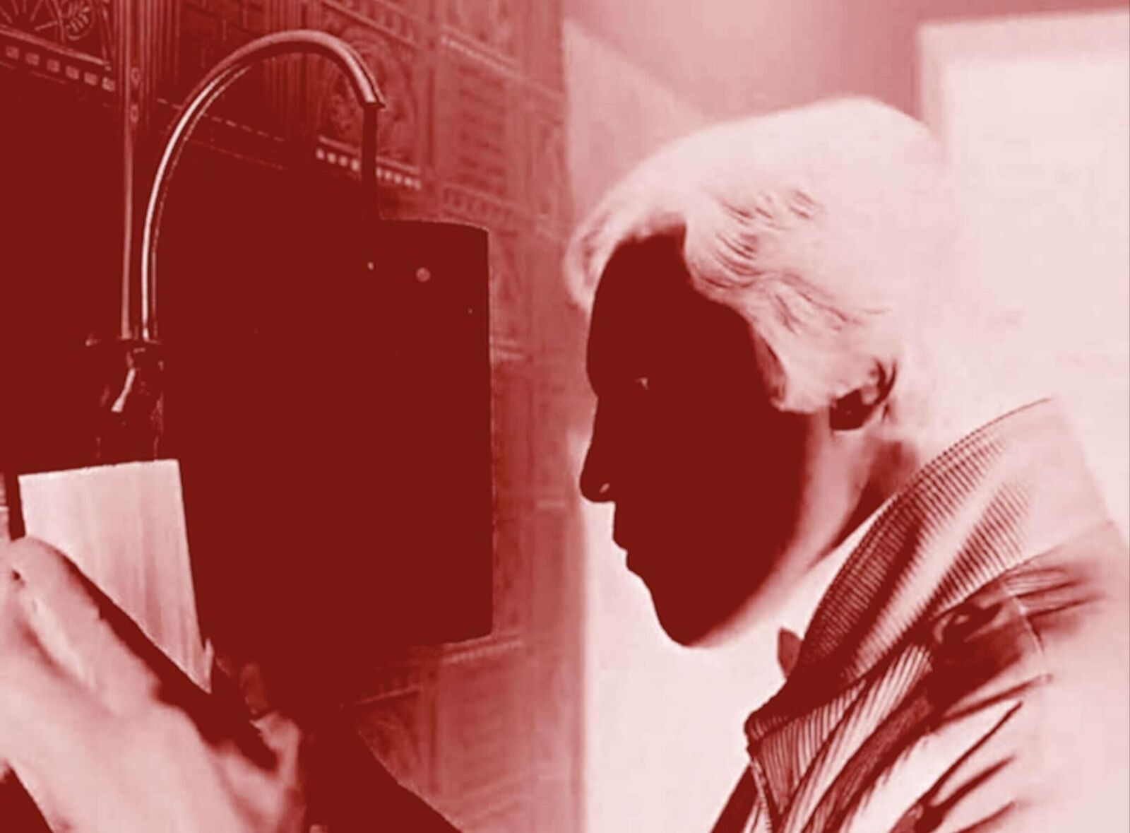 Galeriebild des Projekts Lap Dogs