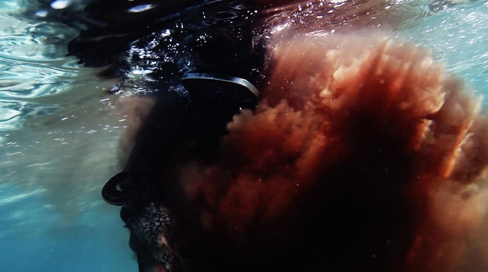 Titelbild des Projekts Oh Brother Octopus