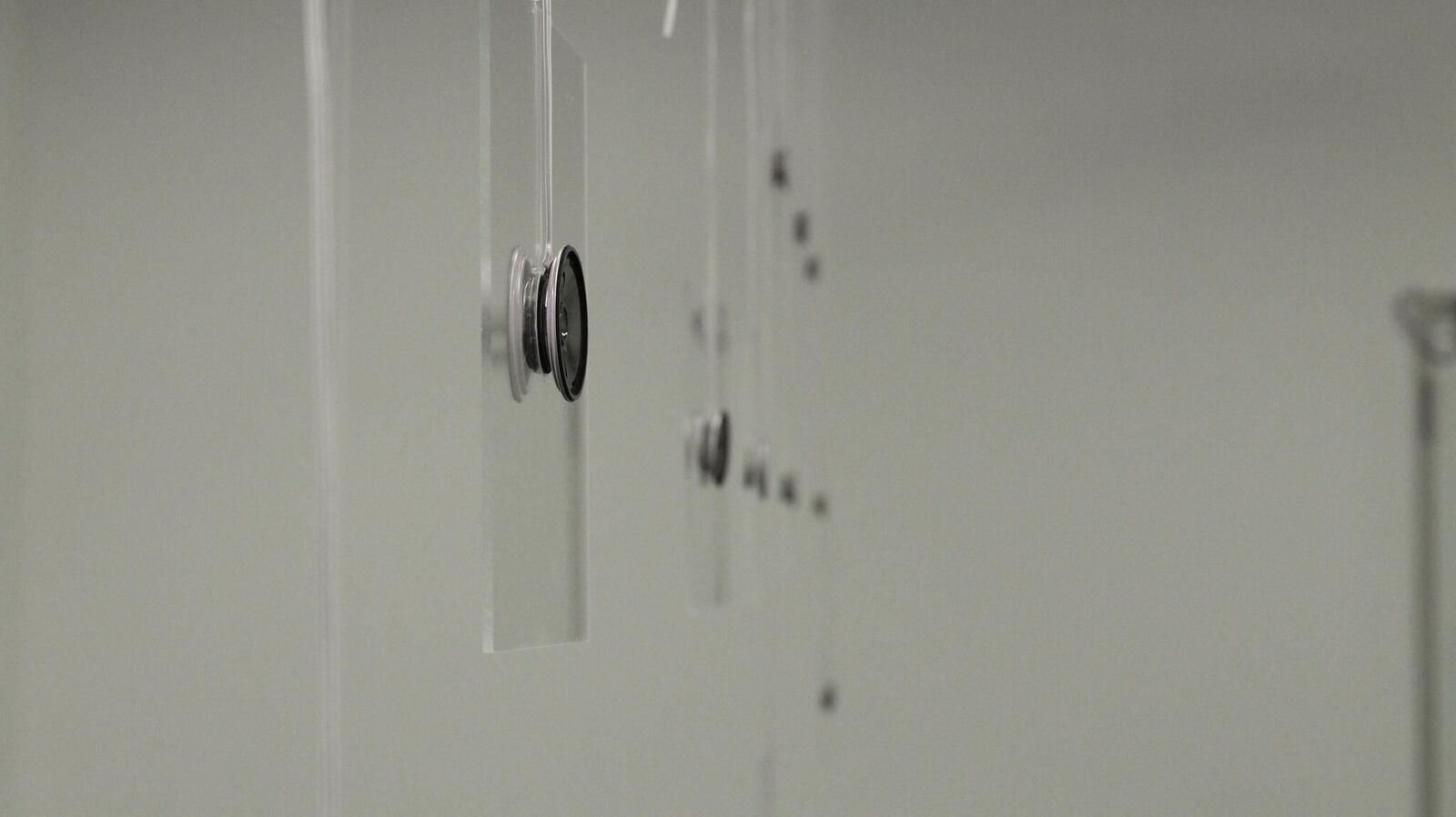 Titelbild des Projekts Applaus