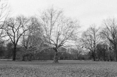 © KHM, Judith Röder