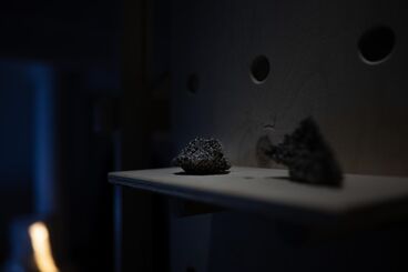Live Stock / Live Animals Galeriebild des Projekts Live Stock / Live Animals