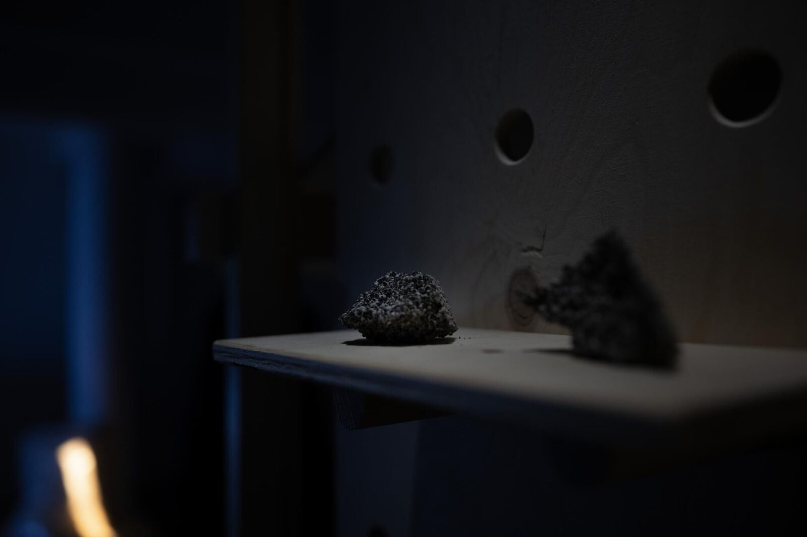Galeriebild des Projekts Live Stock / Live Animals