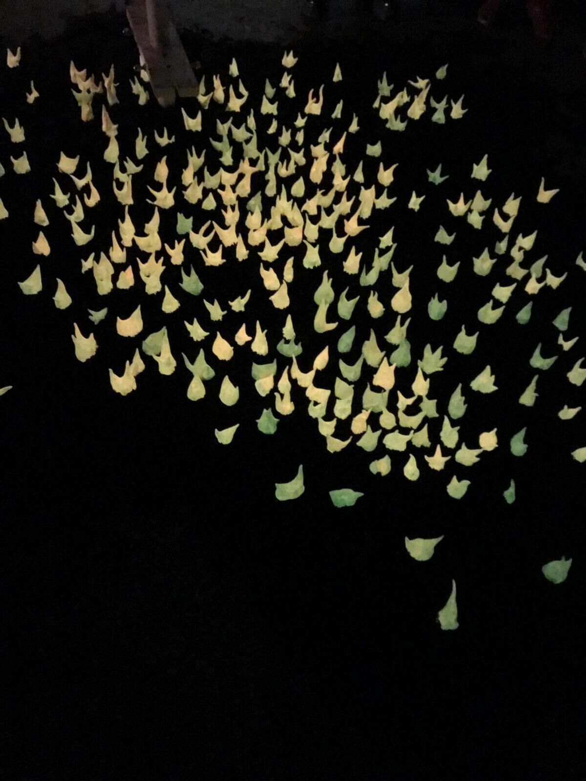 Galeriebild des Projekts Walter Palmer Shot A Lion: The Sequel