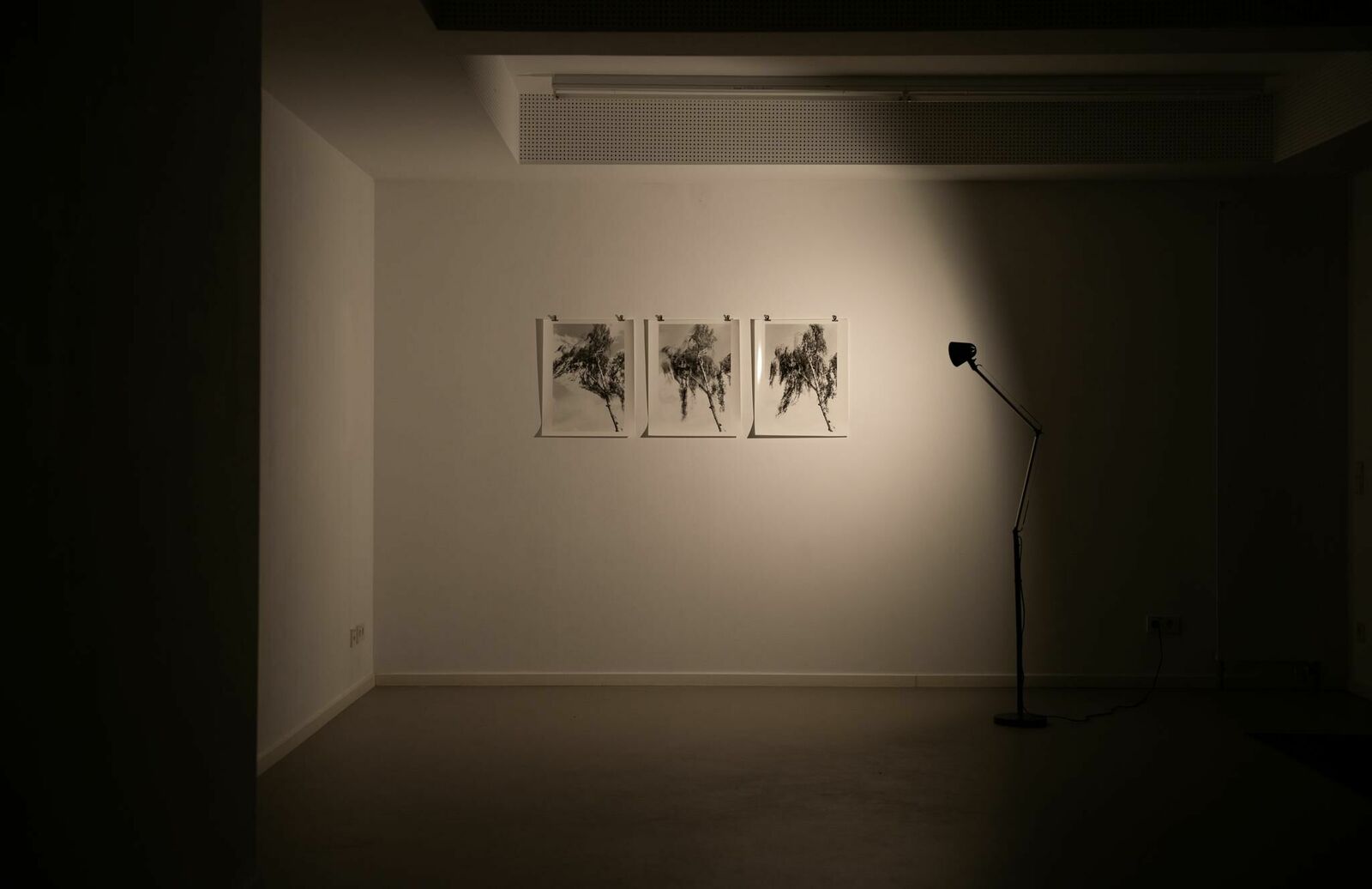 Titelbild des Projekts Case #44 MIMIKRY