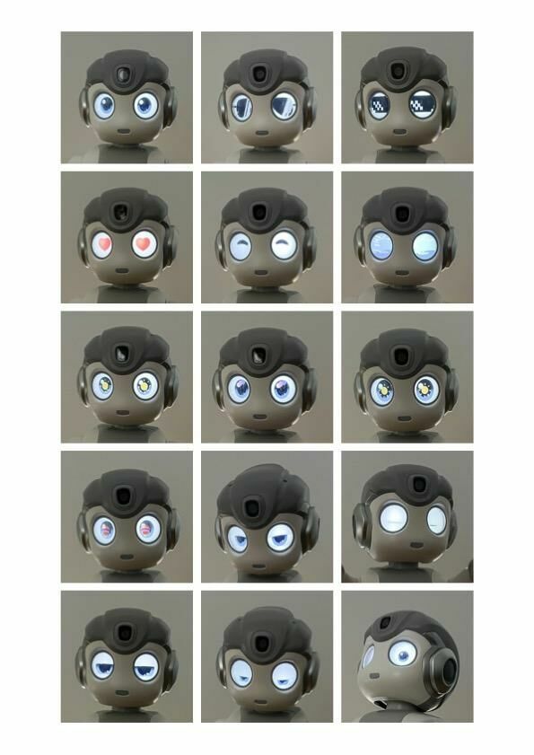 Galeriebild des Projekts Robin – Wie technologische Systeme zur Erosion von individueller Autonomie und Meinungsbildung beitragen