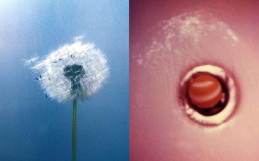 Galeriebild des Projekts Mobile Regelwerke – Irdische Schwerelosigkeit