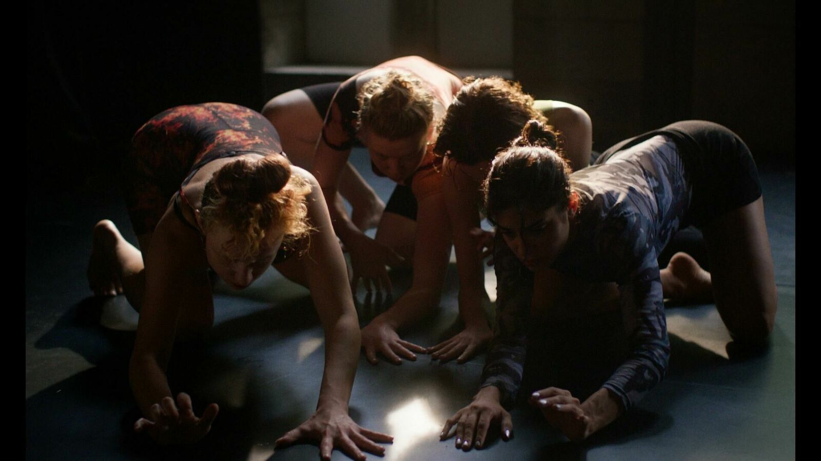 Galeriebild des Projekts Katzenbellen