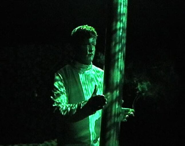 Titelbild des Projekts Wald mit Feldern II