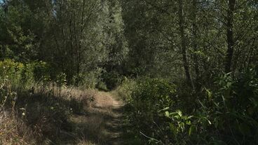 Galeriebild des Projekts nonplace