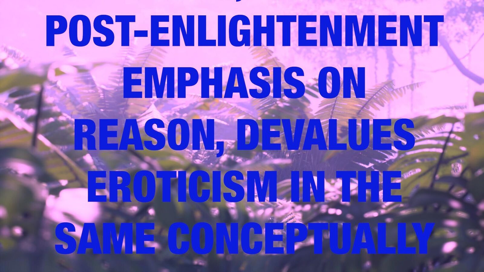 Galeriebild des Projekts SHTV: OUR HOUSE