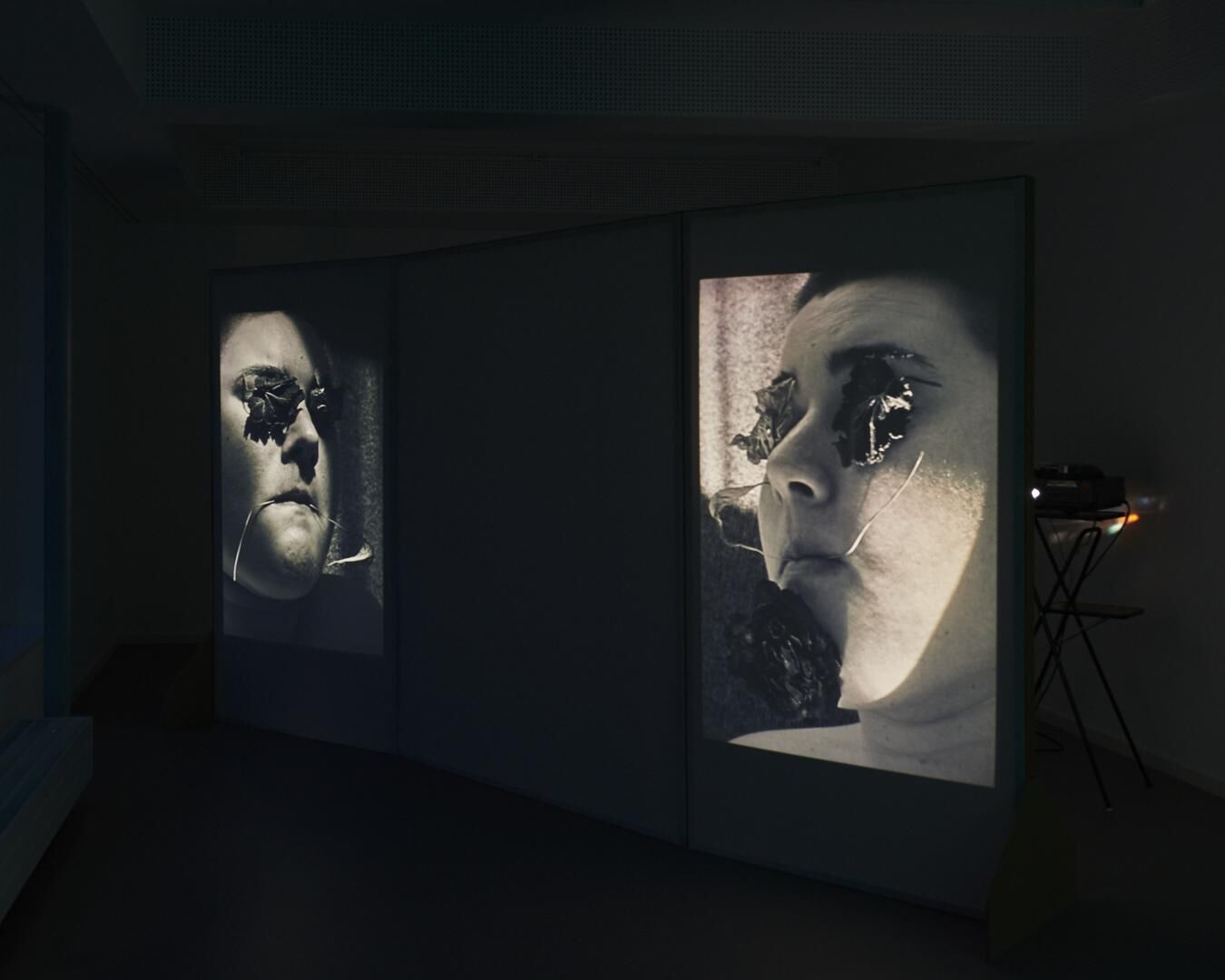 Galeriebild des Projekts Innenleben