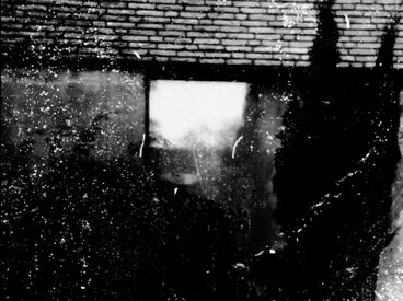 ghosting mother Galeriebild des Projekts ghosting mother