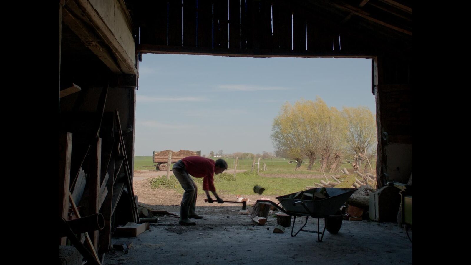 Galeriebild des Projekts Wahn ist eine blinde Kuh