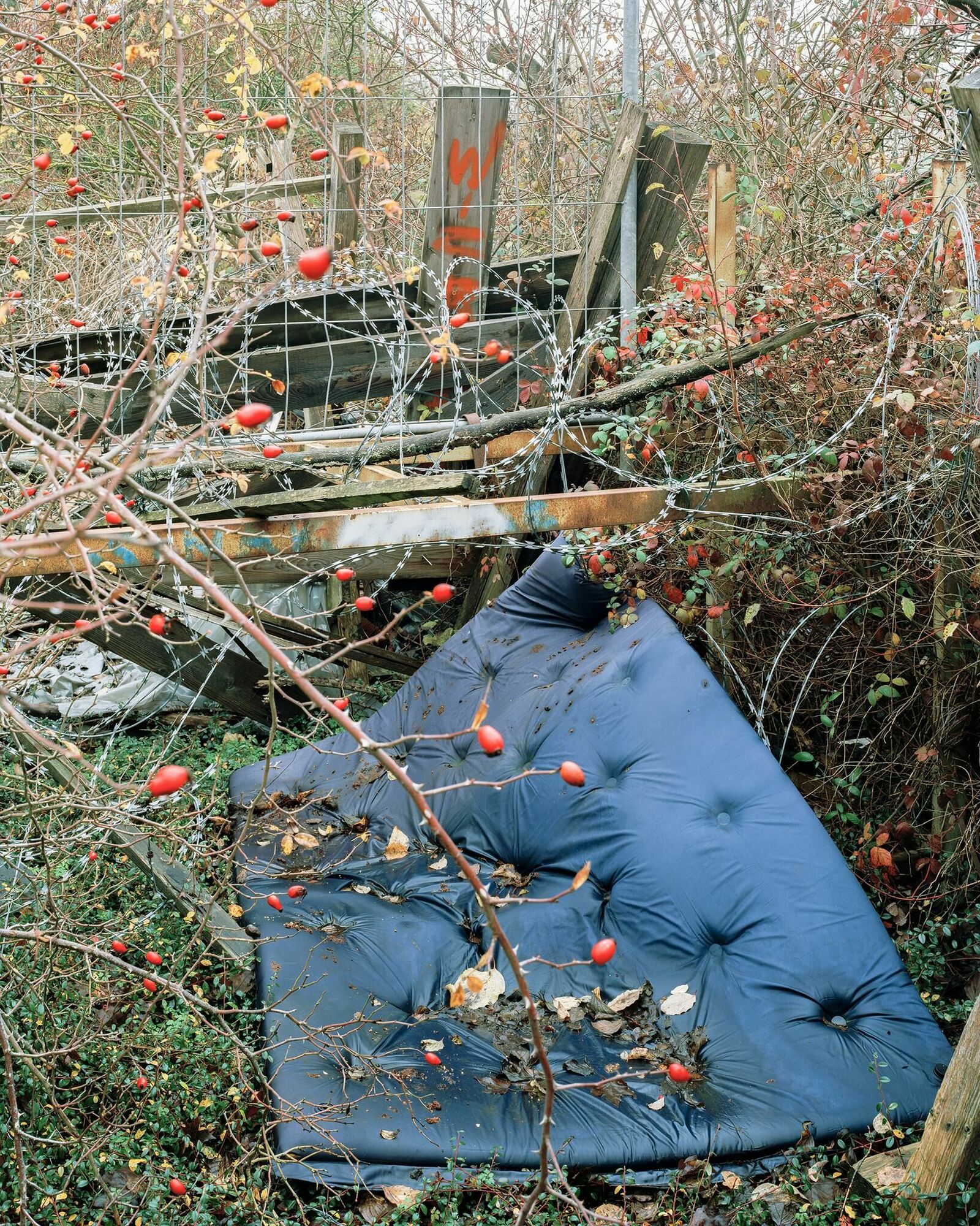 Galeriebild des Projekts Remember to call your Mother, Son