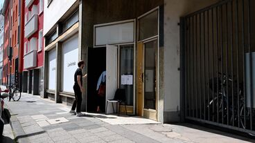 Live Stock / Live Animals Galeriebild des Projekts Live Stock / Live Animals